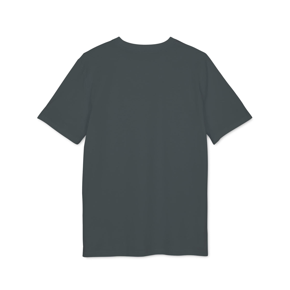 Arabic Calligraphy T-Shirt — 'عاشق' Decorative Graphic Tee
